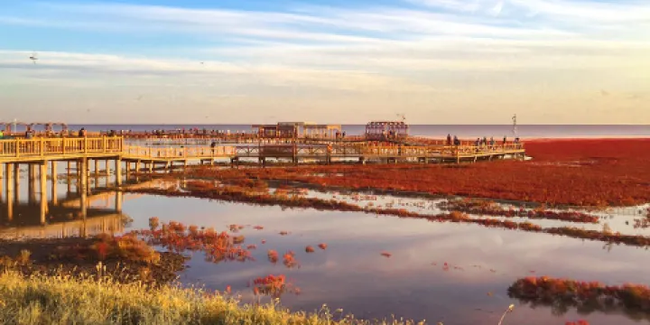 遼河醉美濕地趣味橋