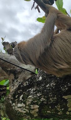 卡维塔国家公园-Talamanca