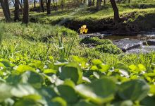 Hidden Waters Nature Park景点图片