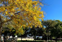Irwindale Park景点图片