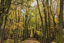 Ferguson Bayou Nature National Recreation Trail景点图片