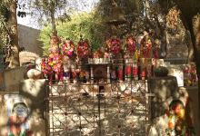 Momaji Temple景点图片