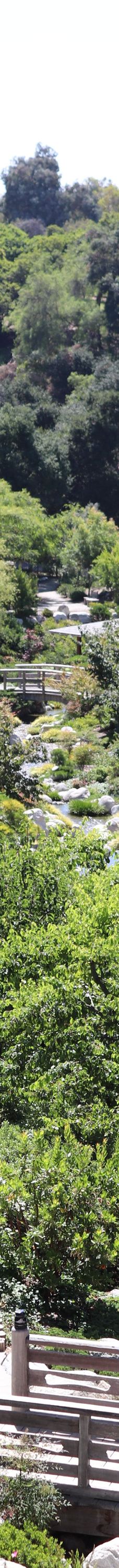 Japanese Friendship Garden & Museum-圣地亚哥