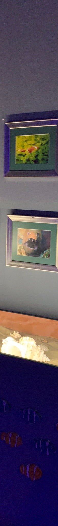 Deniz Dunyasi-安卡拉