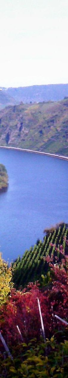 Metternich Castle-拜尔施泰因