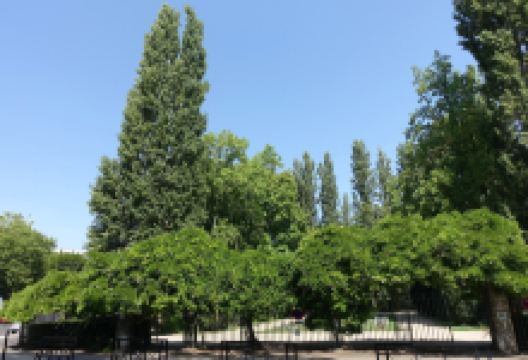 Jardins des Pres Fichaux景点图片