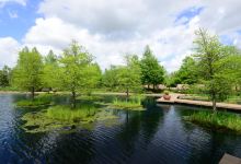 Shangri La Botanical Gardens and Nature Center景点图片