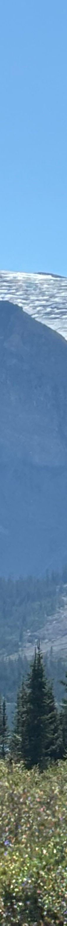 冰原大道-Improvement District No. 9