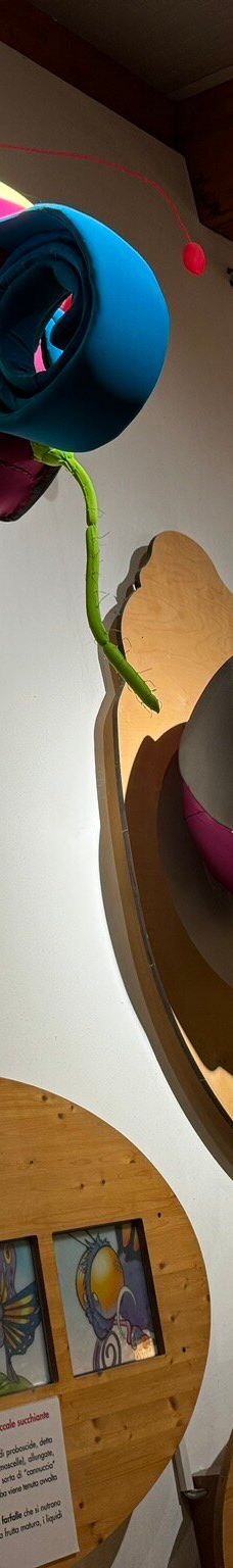 Casa delle Farfalle-米兰马瑞提那