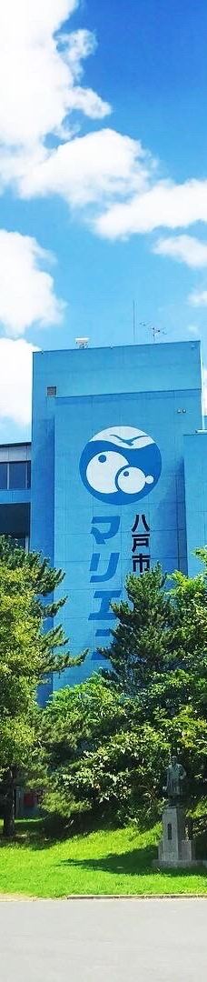 八户市水产科学馆Marient-八户