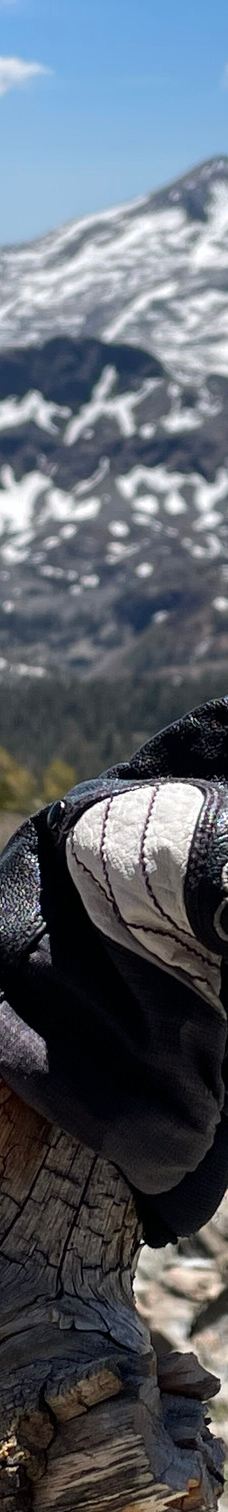 Mt. Tallac Trail-埃尔多拉多县