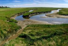 Seebrücke Seebrucke景点图片