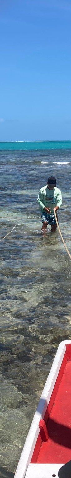 Piscinas Naturais de Pajucara-马塞约