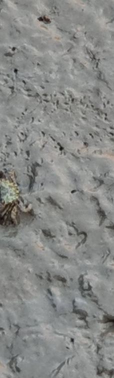 Senggarang Chinese Fishing VIllage-Tanjung Pinang Kota