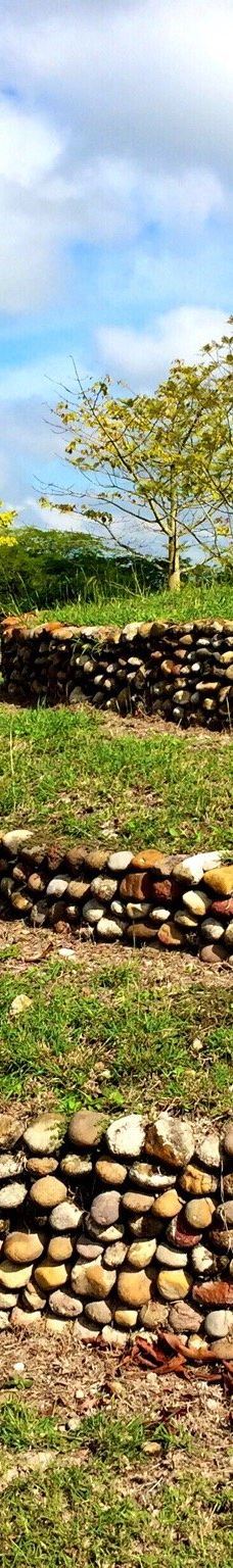 Tamtoc Archaeological Site-圣路易斯波托西州