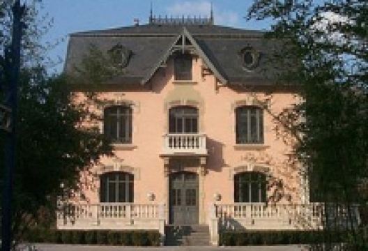 Museum d'Art Moderne de Belfort景点图片