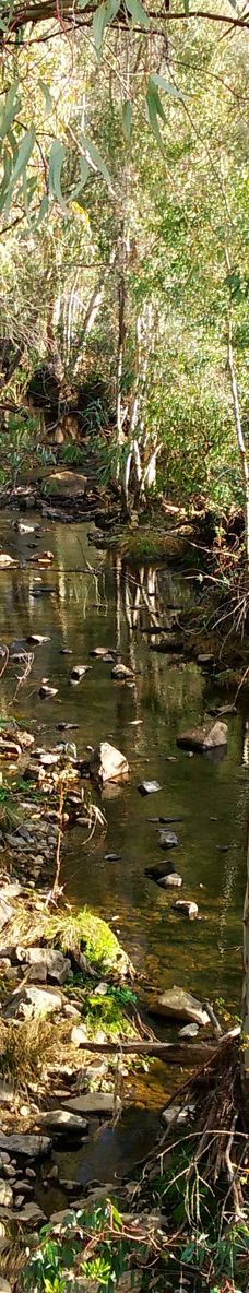 Embalse de Cabezas Rubias-圣巴尔瓦拉德卡萨