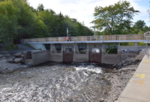 Margaret Bowater Park景点图片