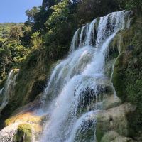 阿布拉图片