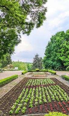 Rose Garden-多布里奇