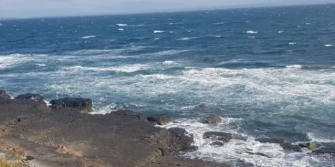 The Music Makers of West Clare