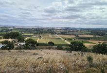 Barossa Pioneer Memorial景点图片