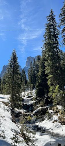富内斯谷-博尔扎诺-上阿迪杰自治省