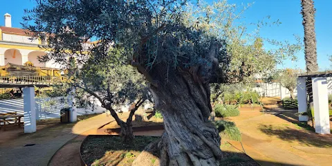Lagar de Varas do Fojo （Museu do Azeite）