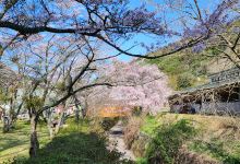 Akiyoshidai Eco Museum景点图片