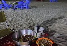 Chimsu Chill on the beach景点图片