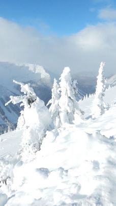 哥伦比亚-萨斯瓦普地区