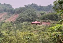 Man Duc Farmstay景点图片