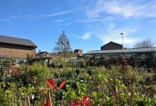 Woods of Berkhamsted Garden Centre购物图片