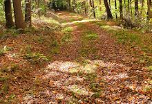 Laurel Highlands Hiking Trailhead景点图片