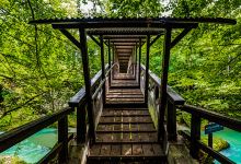 Erlaufschlucht Fischersteig景点图片