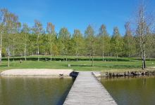 Velký rybnik景点图片