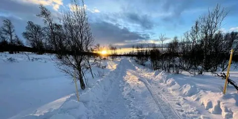 Children of the World