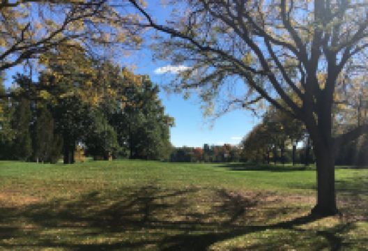 Springdale Park景点图片