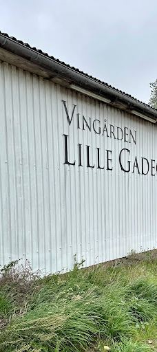 Vingaarden, Lille Gadegaard ( Vineyard )-阿克尔科拜