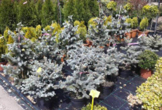 Jardines Teruel购物图片