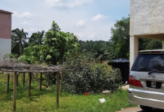 Gee's Bird House景点图片