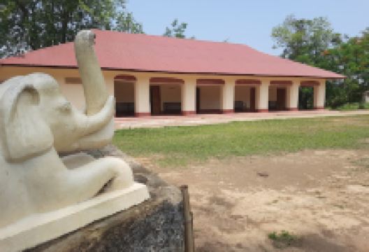 Raj Vihara景点图片