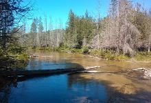 Jordan River National Fish Hatchery景点图片
