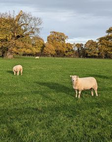 宁布鲁宫和花园-Beningbrough