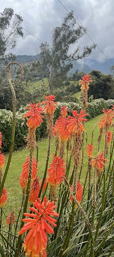 La Casa del Arbol-巴尼奥斯县