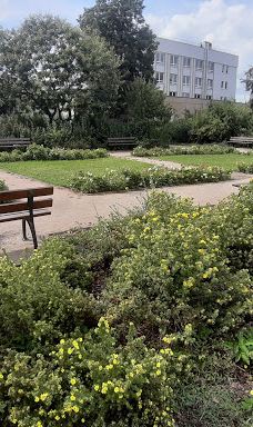 New World Park-茨维考