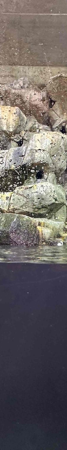 墨尔本水族馆-墨尔本-YoYo_8M0J4K8B