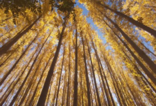 峡门子旅游景区景点图片