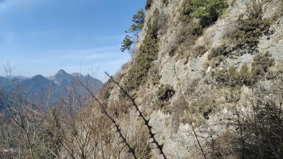 蛇竄石