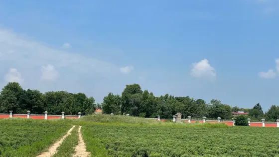 前秦國王苻堅墓